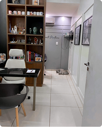 9 → Figure → CARROSSEL-DR-VICENTE-6.png